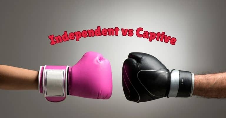 Independent vs captive agent